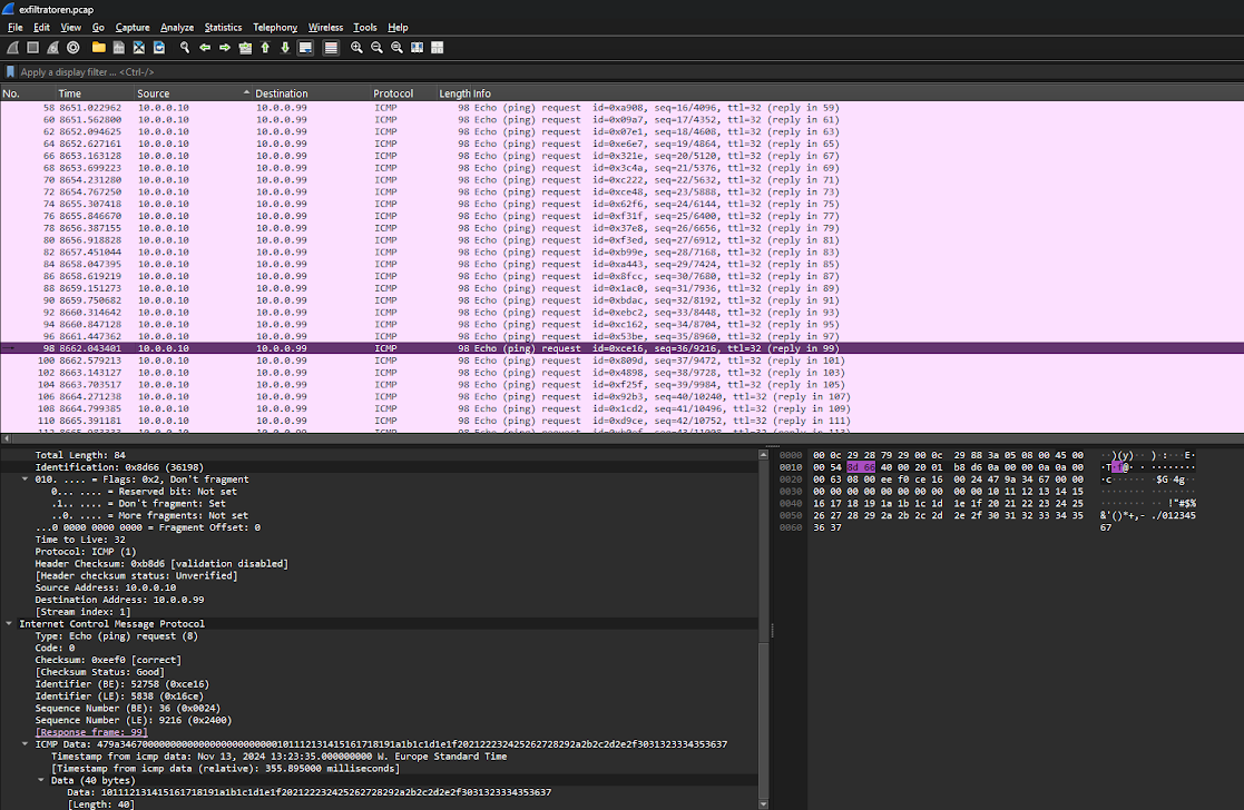 ICMP packets and their payload data in Wireshark